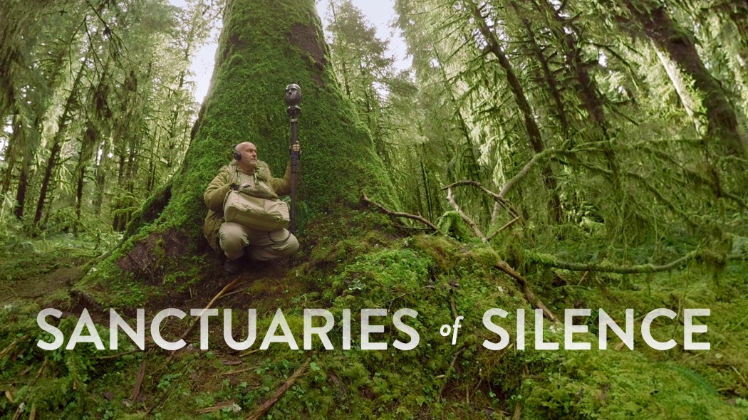 An Op-Doc from The New York Times about the importance of silence, something that's in very short supply.