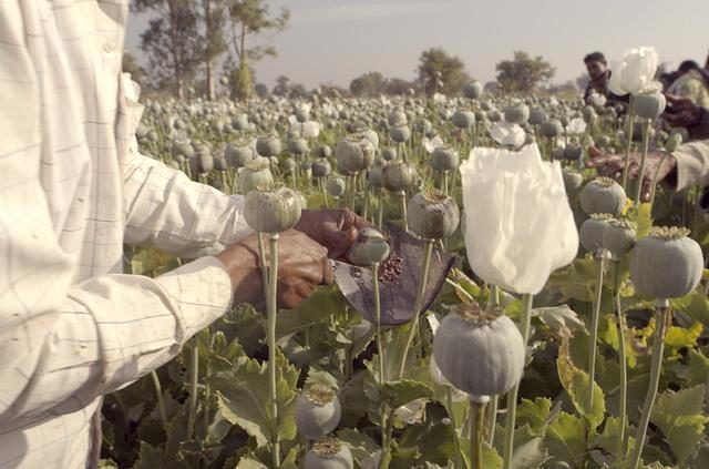 A new HBO documentary series from Oscar-winner director Alex Gibney.