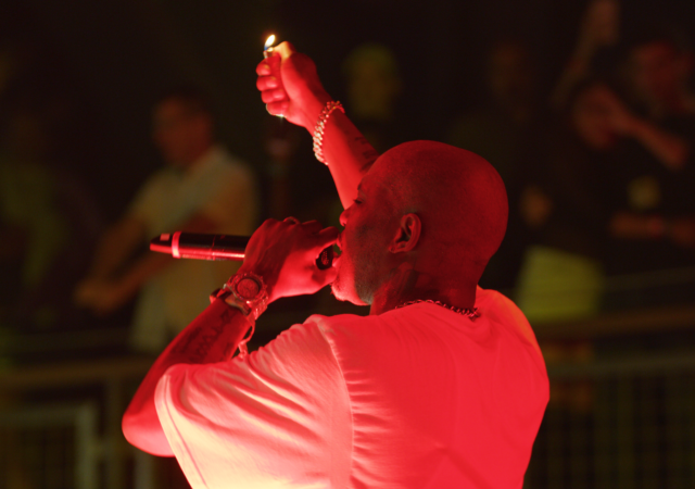 DMX: Don't Try to Understand